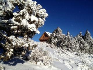 Spacious, Inviting Log Cabin Encircled by Wildlife in Utah - 0