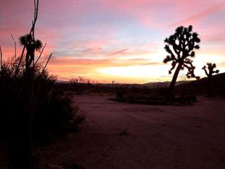 Secluded Cottage with Impressive Views on 20-Acre Retreat in Joshua Tree, California - Joshua Tree - 2