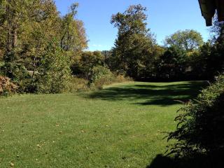Pet-Friendly Cabin Rental for Family Getaway in Lexington, Virginia - Lexington - 9