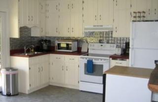 Pet-Friendly Cabin Rental for Family Getaway in Lexington, Virginia - Lexington - 8