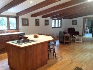 Amazing Mountainside Vacation Rental with Private Hot Springs in Hamilton, Montana - Hamilton - 5