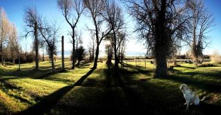 Cozy Camping Cabin for a Family-Friendly Getaway near Sheridan, Montana - 9