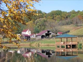 Lovely Cottage on Farm near Shenandoah National Park, Virginia - Sperryville - 0
