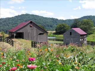 Lovely Cottage on Farm near Shenandoah National Park, Virginia - Sperryville - 9