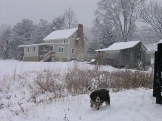 Lovely Cottage on Farm near Shenandoah National Park, Virginia - Sperryville - 2