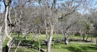 Creekside Cabin Rental for Quintessential Staycation near Austin, Texas - Buda - 1