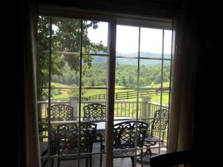 Lovely Barn Rental with Activities near Shenandoah National Park, Virginia - Sperryville - 8