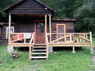 Cozy Getaway Cabin for Two near Esopus River in Shandaken, New York - Shandaken - 8