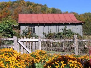 Historic Cabin near Luray Caverns Perfect for a Family Vacation in Virginia - Sperryville - 1