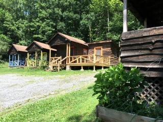 Cozy Getaway Cabin for Two near Esopus River in Shandaken, New York - Shandaken - 7