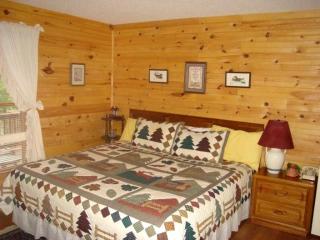Large Camping Cabin with a Hot Tub near Beech Mountain, North Carolina - Elk Park - 9
