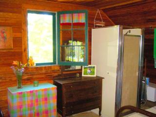 Historic Vacation Rental located near Mackinaw City, Michigan - Mackinaw City - 5