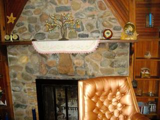 Historic Vacation Rental located near Mackinaw City, Michigan - Mackinaw City - 2
