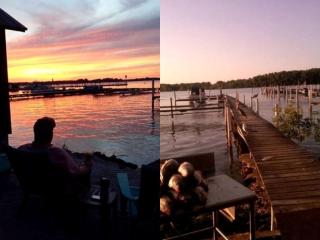 Secluded Cottage Rental in the Trees by Lake Erie, Ohio - 1