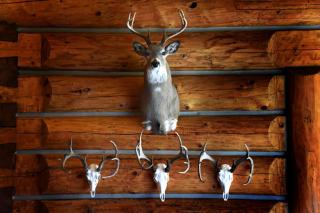 Cozy Lodge Suite Rental with Mountain Views in Silver Bow County, Montana - Melrose - 5