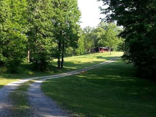 Elegant Ranch Cabin near the Buffalo River National Park in St. Joe, Arkansas - - 7