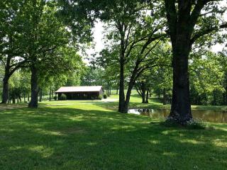 Elegant Ranch Cabin near the Buffalo River National Park in St. Joe, Arkansas - - 5