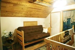 Pet-Friendly Cabin Getaway for Groups near Aspen, Colorado - 1