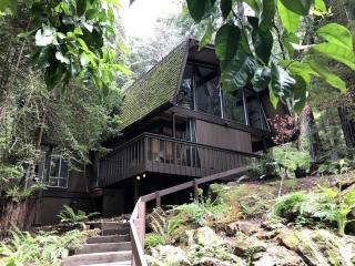 Charming Redwood Vacation Rental for Four in San Geronimo, California - - 0