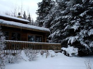 Family-Friendly Cabin in the Deerfield Valley of Mount Snow, West Dover Vermont - West Dover - 9