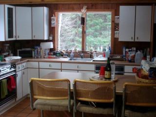 Family-Friendly Cabin in the Deerfield Valley of Mount Snow, West Dover Vermont - West Dover - 2