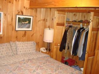 Family-Friendly Cabin in the Deerfield Valley of Mount Snow, West Dover Vermont - West Dover - 1