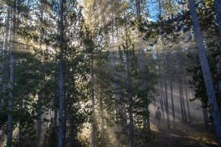 Cozy Suite Rental with Breathtaking Views near Sandpoint, Idaho - Careywood - 6