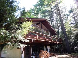 Woodland Cabin Rental on Four Secluded Acres near White Mountain National Forest - 9