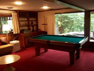 Woodland Cabin Rental on Four Secluded Acres near White Mountain National Forest - 2