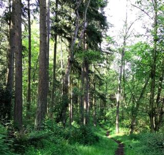 Cozy Bed and Breakfast Suite for Romantic Getaway near Skagit Bay, Washington - Oak Harbor - 1