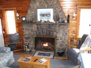 Idyllic Waterfront Log Cabin in Wayne County Overlooking Lake Wallenpaupack, Pennsylvania - Lakeville - 7
