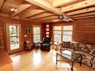 Luxury Log Cabin with 18 Acres of Countryside and Swimming Pond near Athens, Ohio - Athens - 8