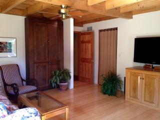 Luxury Log Cabin with 18 Acres of Countryside and Swimming Pond near Athens, Ohio - Athens - 3