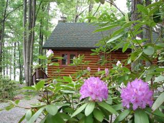 Idyllic Waterfront Log Cabin in Wayne County Overlooking Lake Wallenpaupack, Pennsylvania - Lakeville - 3