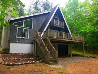 Dog-Friendly Chalet Rental near Whiteface Mountain and Lake Placid, New York - Jay - 9
