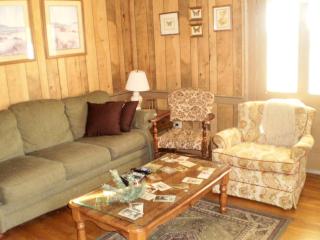 Comfortable Cottage for Large Groups near Bedford, Virginia - Reba - 8
