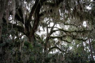Riverfront Vacation Rental with a Pool and Tennis Court near Brunswick, Georgia - - 0