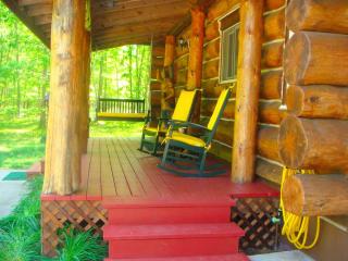 Custom-Built Family Cabin in Manistee National Forest, Michigan - Brethren - 8