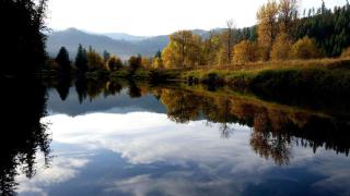 Romantic Getaway for Two in a Peaceful Suite near Coeur d'Alene, Idaho - Careywood - 7