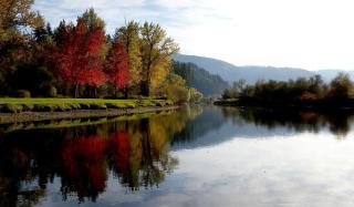 Romantic Getaway for Two in a Peaceful Suite near Coeur d'Alene, Idaho - Careywood - 3