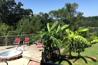 Spacious Cottage with Pool for an Exciting Getaway on Smith Lake in Alabama - Crane Hill - 1