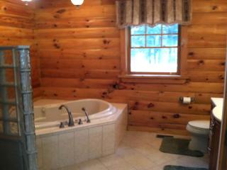 Incredible Camping Cabin on 100 Private Acres in New York's Adirondack Park - Johnsburg - 4