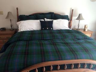 Incredible Camping Cabin on 100 Private Acres in New York's Adirondack Park - Johnsburg - 3
