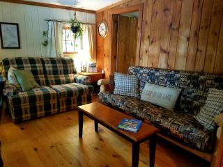 Lovely Lakeside Cabin Rental near Pharaoh Lake Wilderness Area in New York - Brant Lake - 9