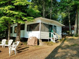 Lovely Lakeside Cabin Rental near Pharaoh Lake Wilderness Area in New York - Brant Lake - 6