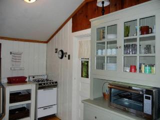 Lovely Lakeside Cabin Rental near Pharaoh Lake Wilderness Area in New York - Brant Lake - 3