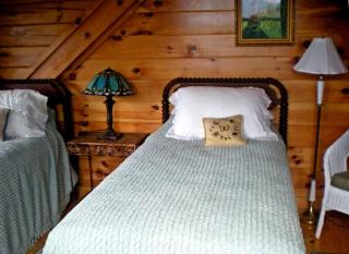 Secluded Log Cabin Rental with Views of Mount Mitchell in North Carolina - Lake Lure - 1