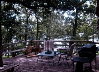 Rustic Cabin Rental in the Woods with Private Dock on Lake Dardanelle, Arkansas - Scranton - 9