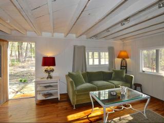 Idyllic Getaway Cottage in the Woods near Woodstock, New York - Woodstock - 0