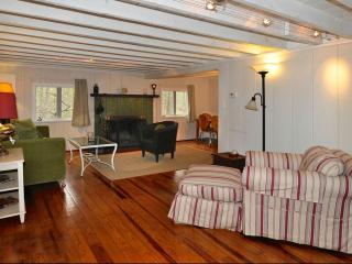 Idyllic Getaway Cottage in the Woods near Woodstock, New York - Woodstock - 8